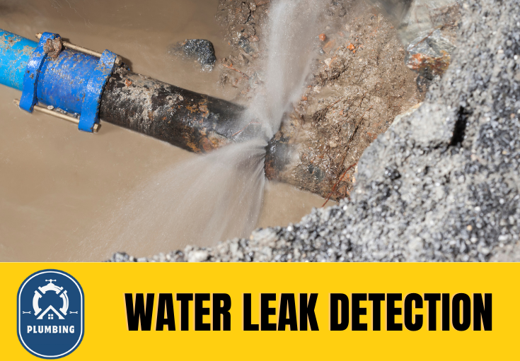 leak detection St Helens